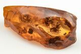 Four Fossil Flies (Diptera) In Baltic Amber - #200158-3